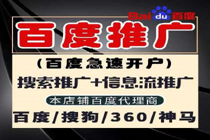 竞价开户推广案例市场分析
